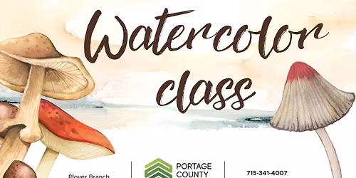 Plover - Watercolor Class