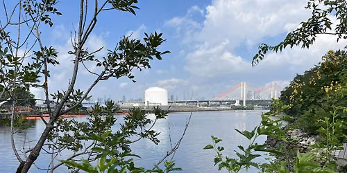 City of Forest Day at Plank Road with Newtown Creek Alliance
