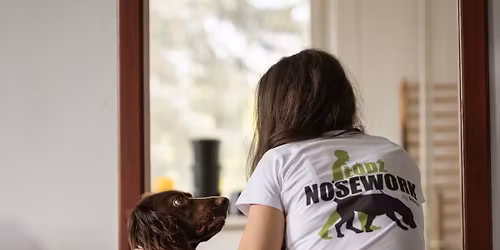 Otwarty trening NOSEWORK w Wolborzu