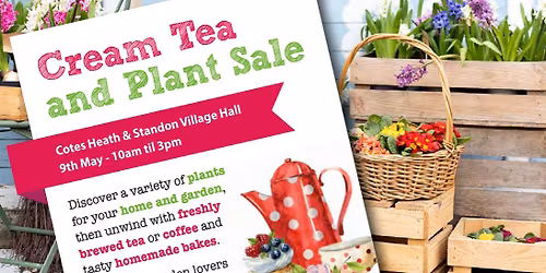 Cream Tea & Plant Sale