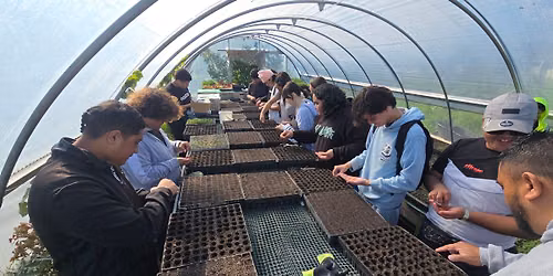 1000 Young Growers for T\u0101maki - Full moon seed sowing
