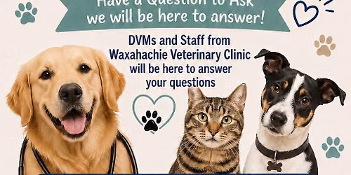 Ask A Veterinarian at Railport Brewing Co.