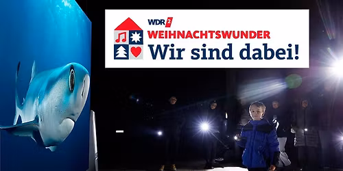 Taschenlampenf\u00fchrung Weihnachtswunder