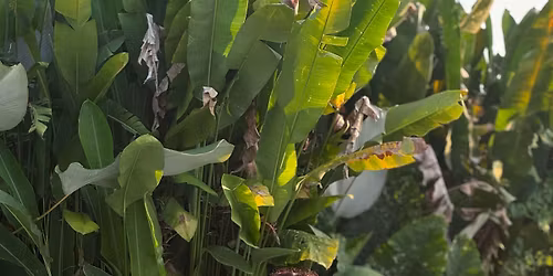 Yoga for Beginners at Anchorage Community Centre