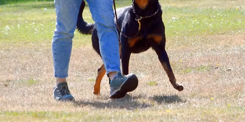 Herbstpr\u00fcfung 2025