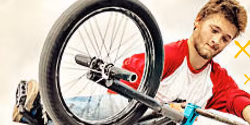 MEGA FESTIVAL CIERRE DE A\u00d1O