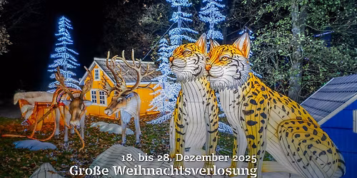 Vom 18. bis 28. Dezember gro\u00dfe Weihnachtsverlosung