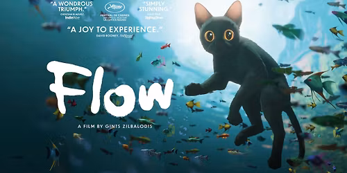 Catnap Cinema: Flow