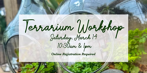 Terrarium Workshop