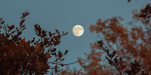 Full Moon Restorative Yoga
