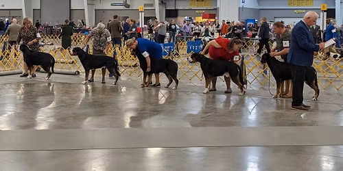 2026 C&P Regional Specialty