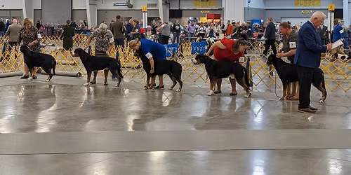 2026 C&P Regional Specialty