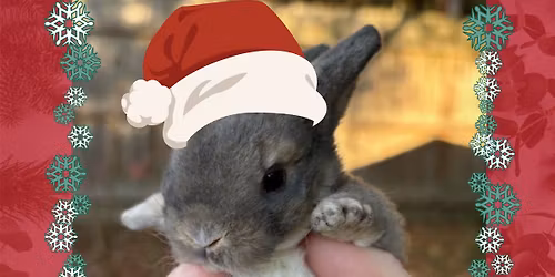 Hoppy Holiday Gathering with Bratcher\u2019s Bunnies