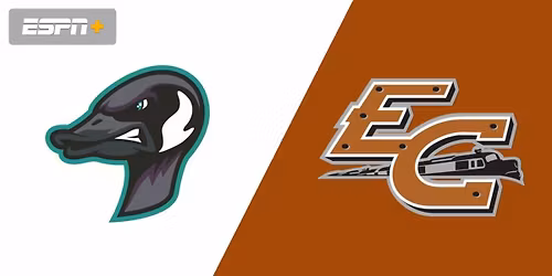 Eau Claire Express at Rochester Honkers