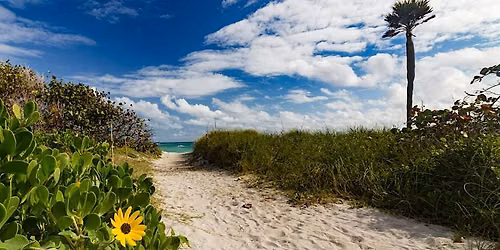 Miami Hiking Club x FTA Big Cypress Chapter: Beach Hike