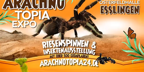 Arachnotopia - Riesenspinnen & Insektenausstellung Esslingen