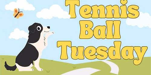 Tennis Ball Tuesday - Beau's Dog Park