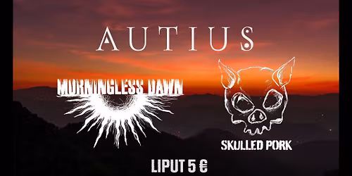 From Dusk Till Void: Autius, Skulled Pork, Morningless Dawn @ Playhouse Bar