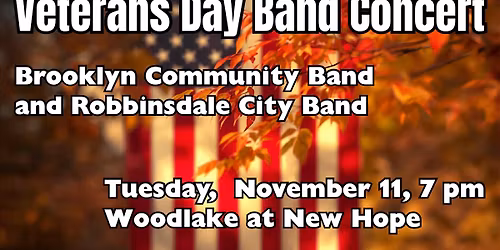 Veterans Day Performance