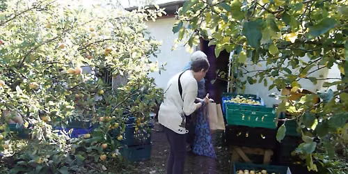Apple Day 2026