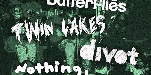 Counting Butterflies \/\/ nothing, darling \/\/ TWIN LAKES \/\/ divot