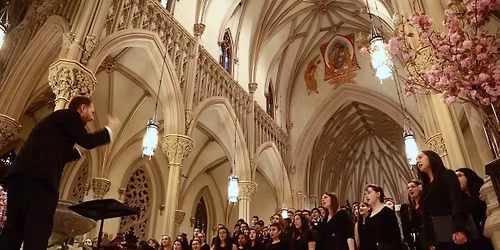 Cathedral Concert: Make Our Garden Grow