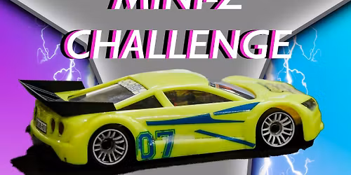 Black Friday Mini Z challenge!!