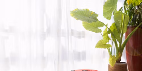 Rest and Digest Yoga