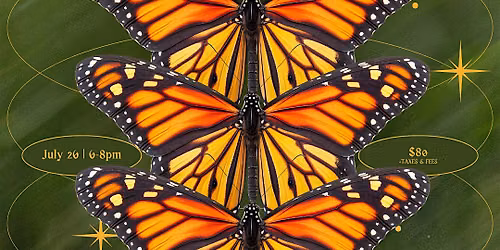 Butterfly Pinning Workshop