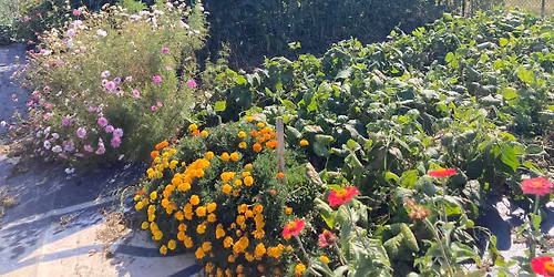 Tuesday Volunteer Hours - Bethany Community Gardens