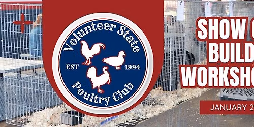 January Cage Building Workshop