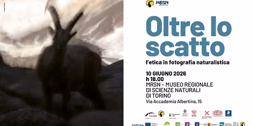Oltre lo scatto: l'etica in fotografia naturalistica