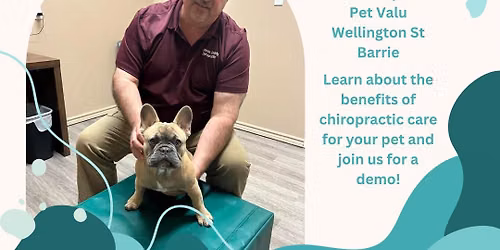 Meet & Greet with Dr Ron from Simcoe County Chiropractic