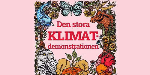 DEN STORA KLIMATDEMONSTRATIONEN