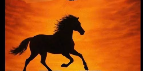 Saddle Soar @ The Castlemayne Basildon