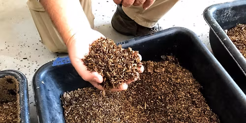 Learning Adventure: Digging in to Nature - Worm Farm Tour!