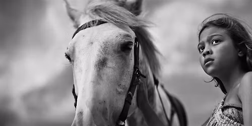 Native Spirit Festival & Horse Hospital : WORLD INDIGENOUS SHORTS 4:45-7pm