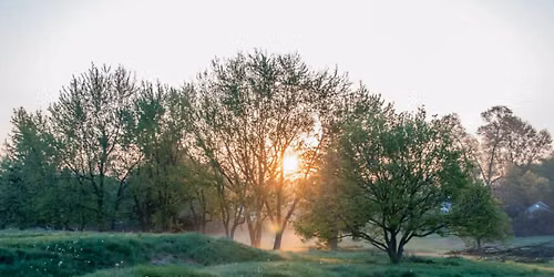 Summer Evening Naturalist Hike