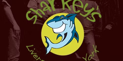 Stay Tuned at Sharkey's