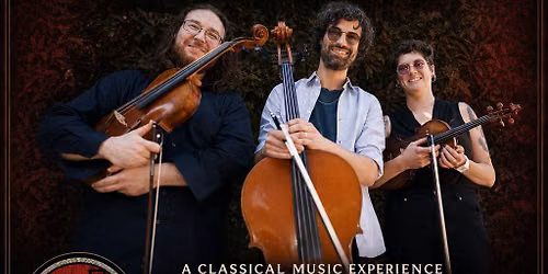 BC STRING TRIO live at The Pour House!