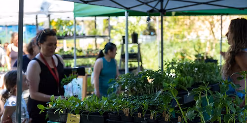 Spring Plant Sale