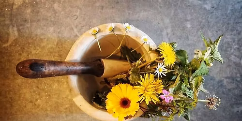 Plant Medicine Herbal Workshop 