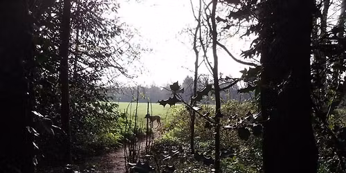 Sunnydale Park Work Party