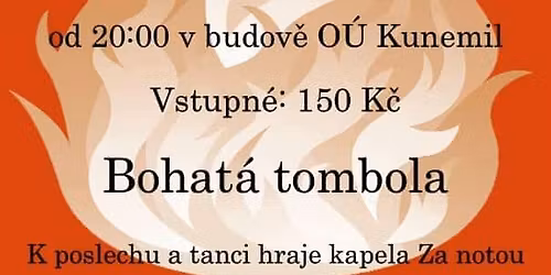 Hasi\u010dsk\u00fd ples