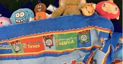 Stuffed Animal Sleepover