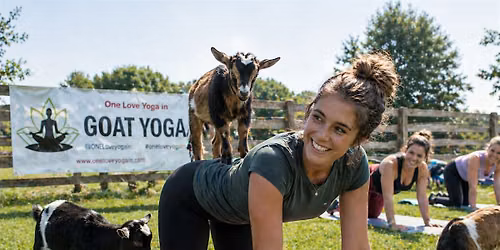 Goat Yoga - Ackerman's Grove County Park, West Bend