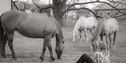 A Day on the Ranch Retreat