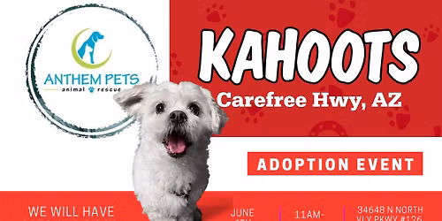 Anthem Pets Animal Rescue Adoptions at KAHOOTS Carefree Hwy & I-17