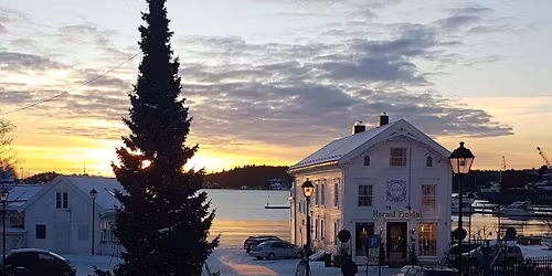 Julegrantenning i Rådhusparken
