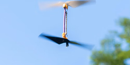 Family Fun Science: Soar into Science with Kites and Helicopters